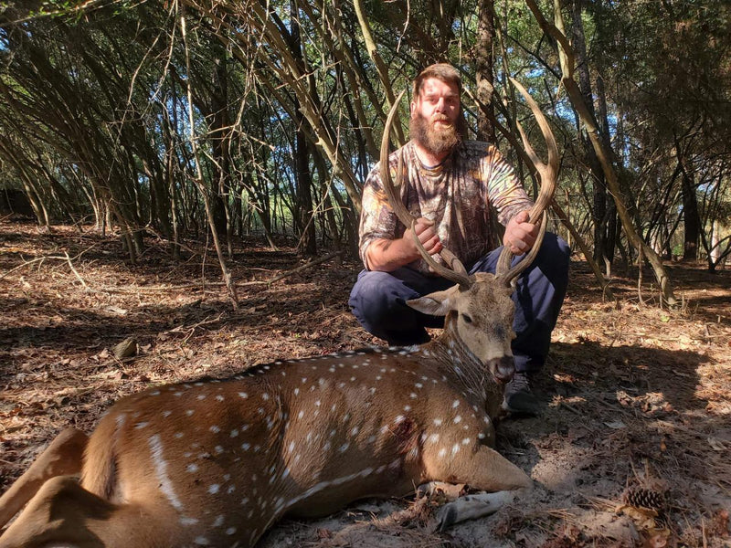 Texas Fallow Buck