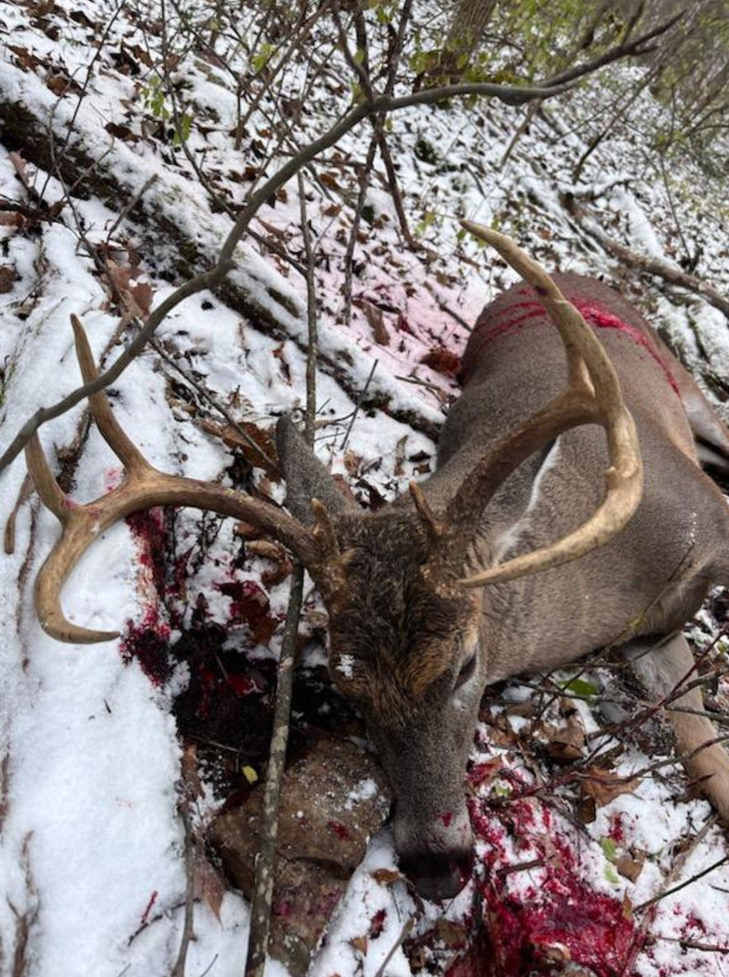 Trophy Harvest