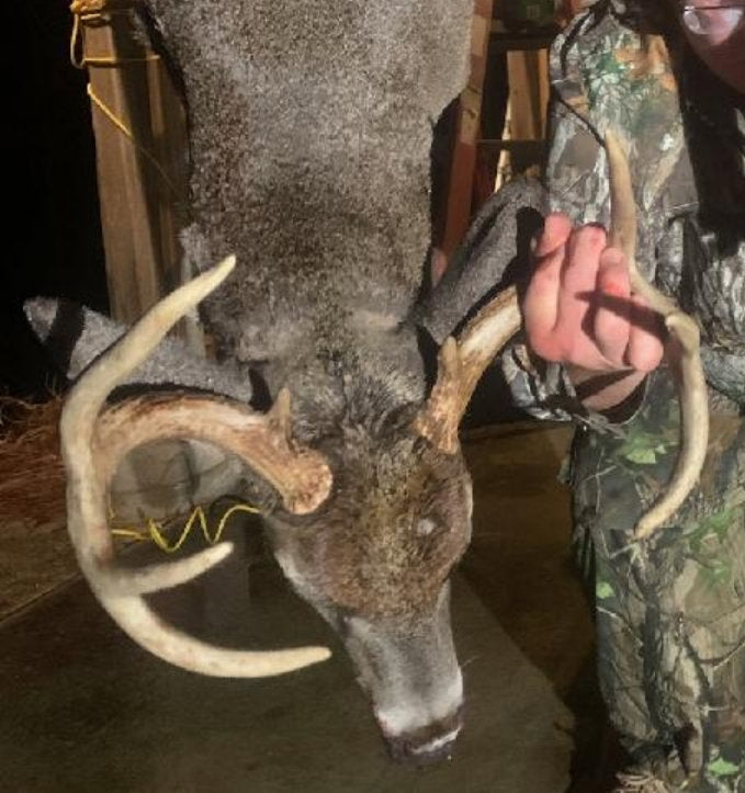 Gun Season Trophy
