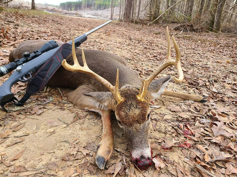 Trophy Harvest