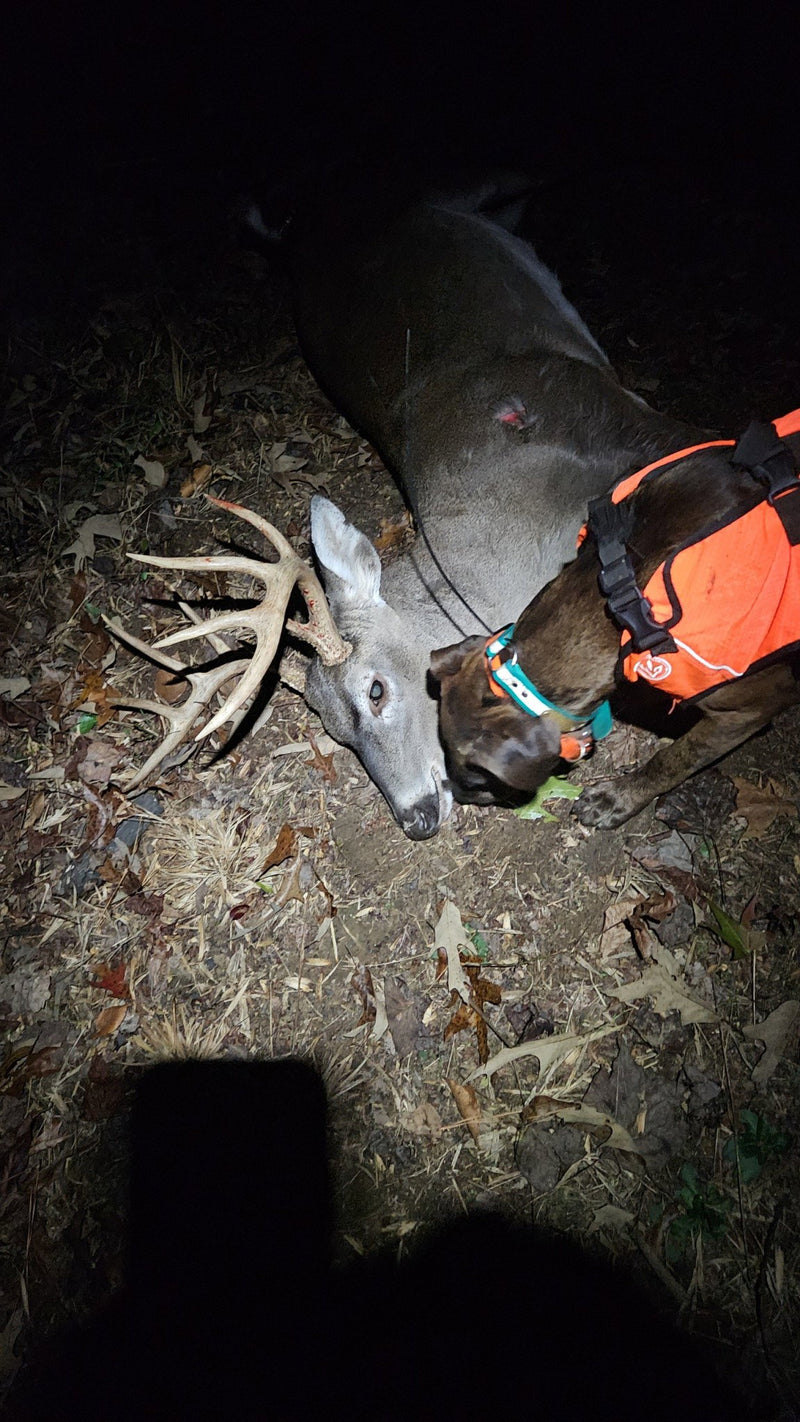 Trophy Harvest