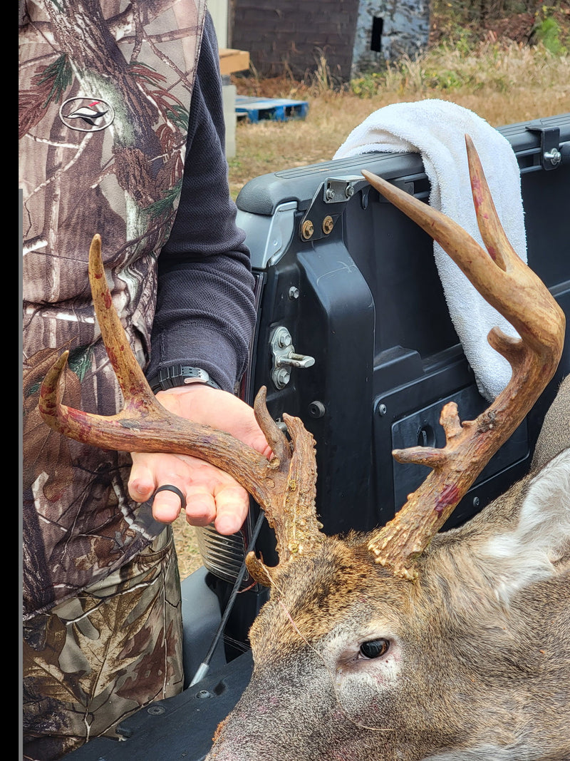 Trophy Harvest
