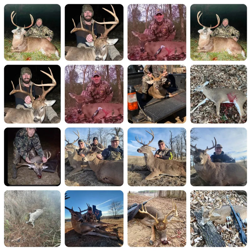 Trophy Harvest