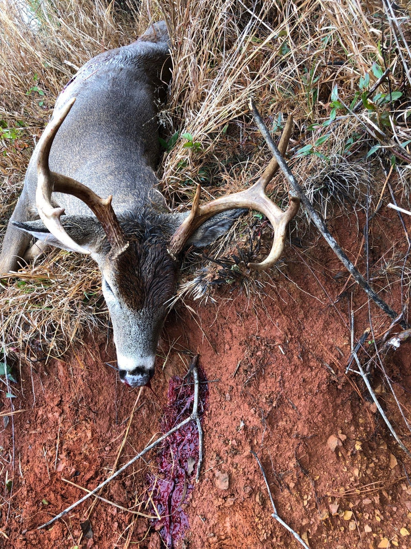 Trophy Harvest