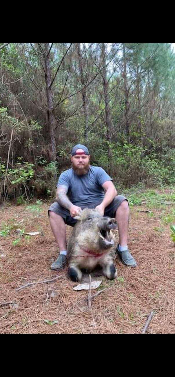Trophy Harvest