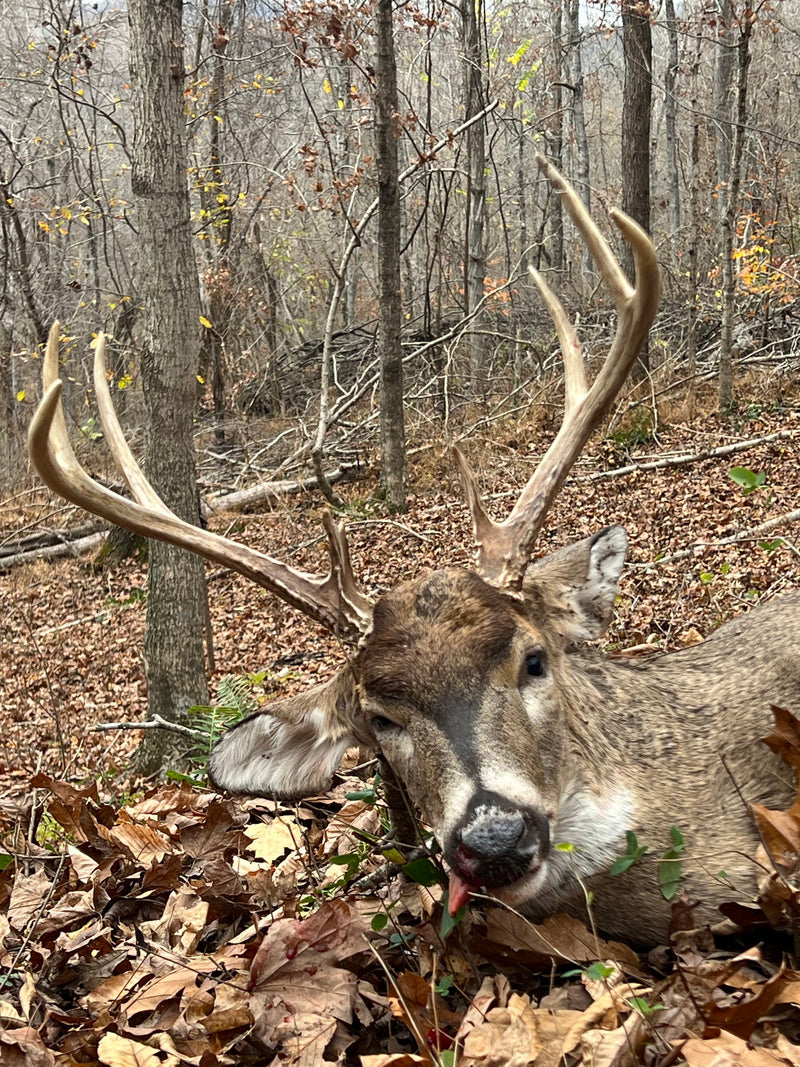 Trophy Harvest