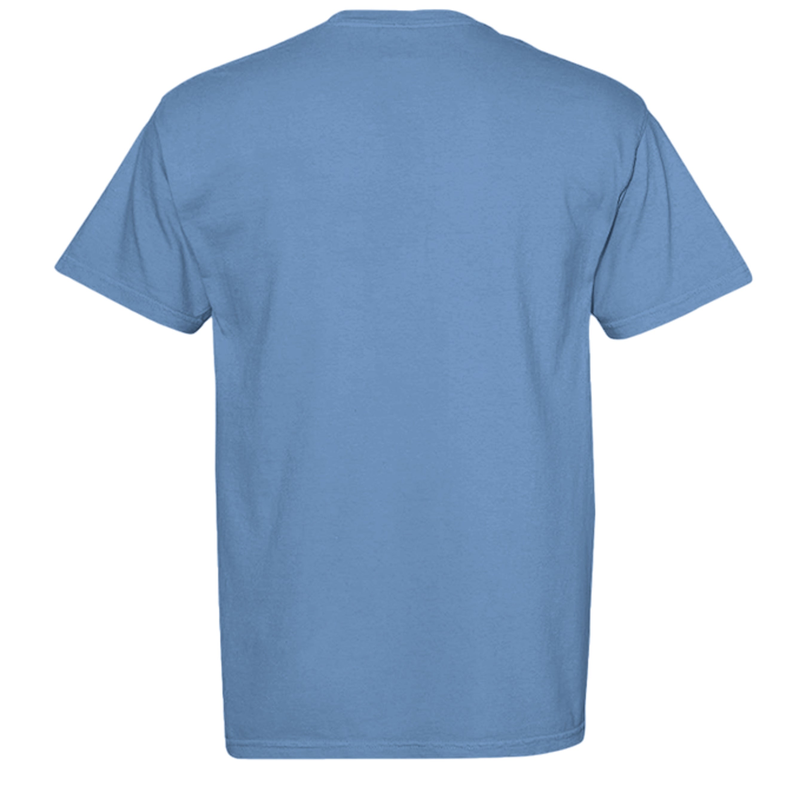 FLO BLUE - C1717 - BACK